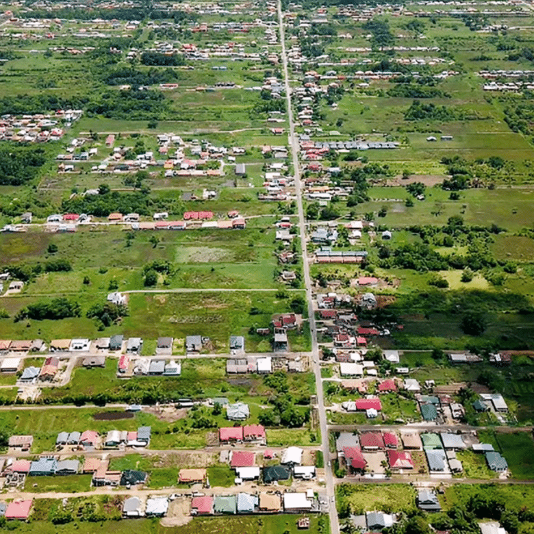 SURINAME OP WEG NAAR EEN VASTGOEDBOOM.
